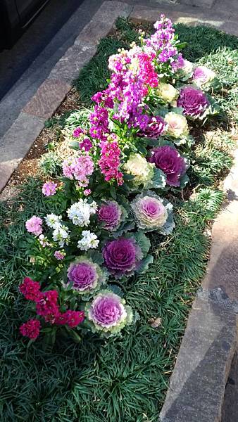 P_20190221_122747_vHDR_On.jpg P_20190221_122747_vHDR_On.jpg