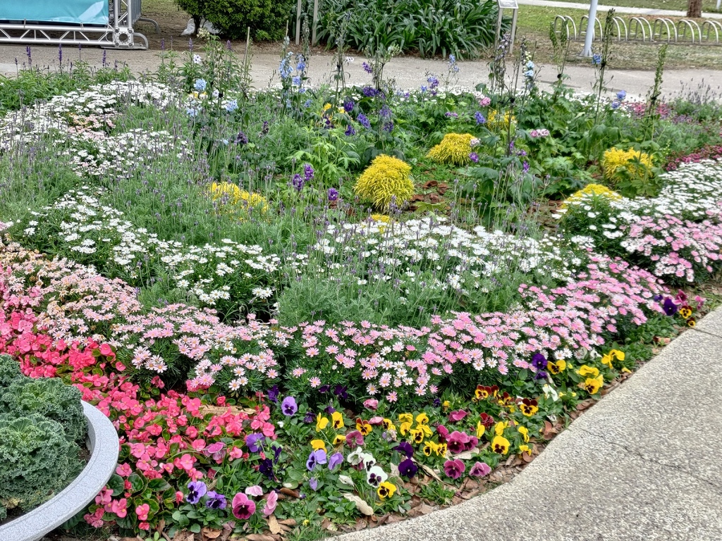 P_20220220-21生日之旅 (282).jpg