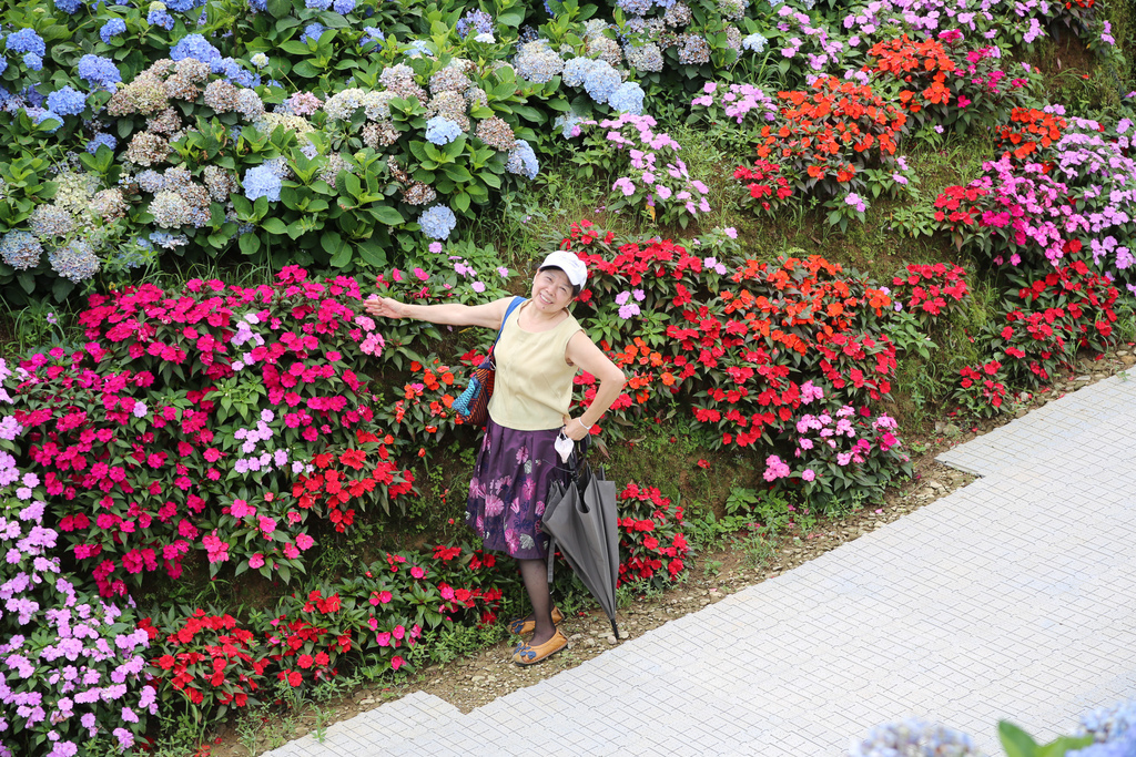 20220613-250.jpg 20220613-250.jpg