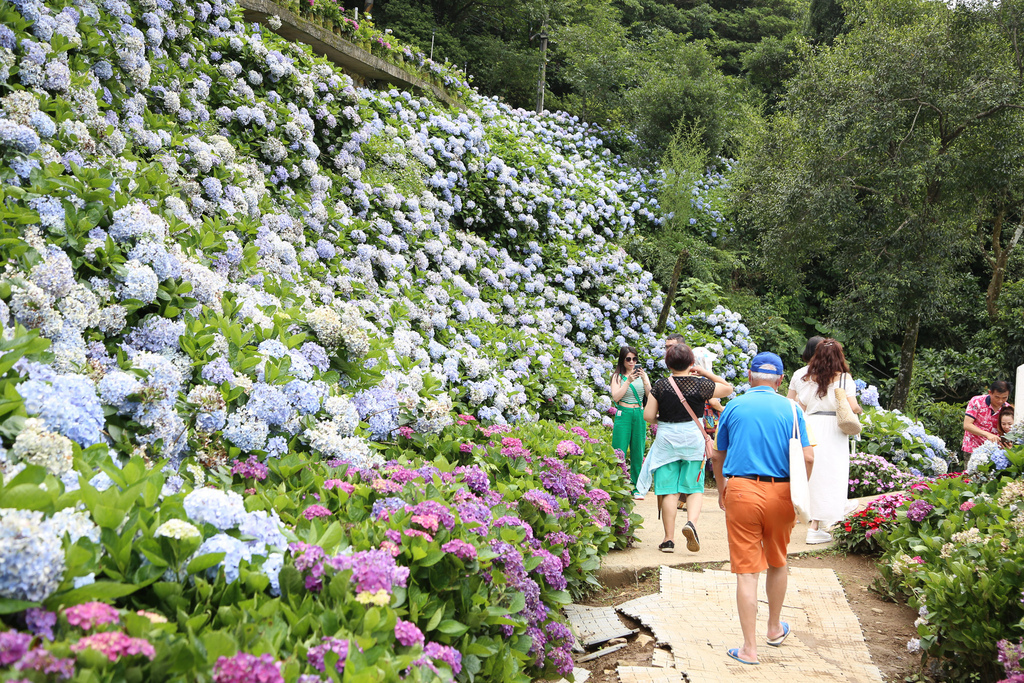 20220613-347.jpg 20220613-347.jpg