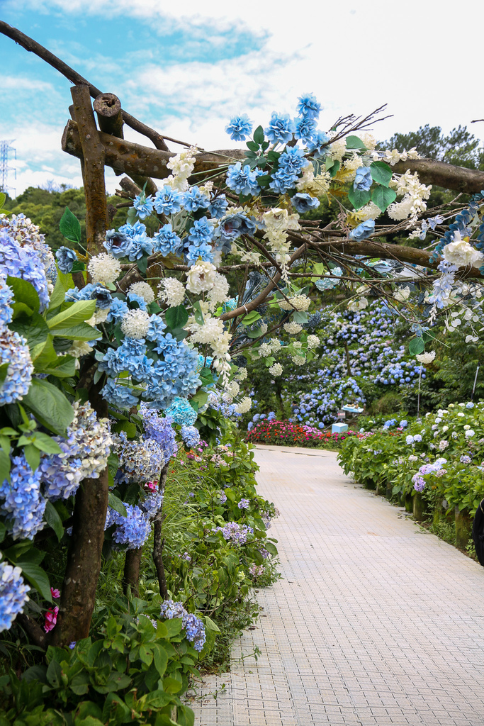 20220613-353.jpg 20220613-353.jpg