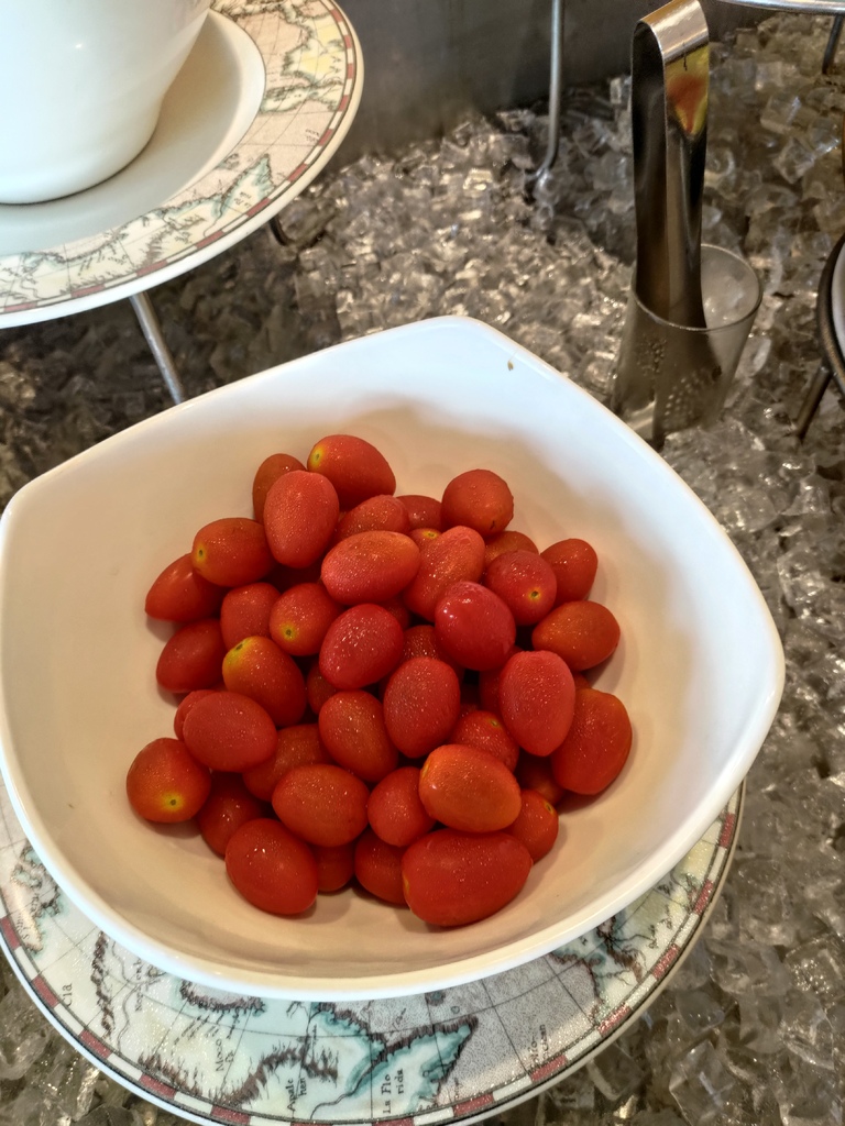 P_20220613_073135.jpg P_20220613_073135.jpg