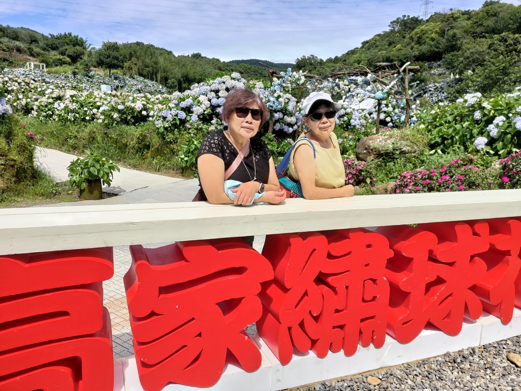 P_20220613_093024.jpg P_20220613_093024.jpg