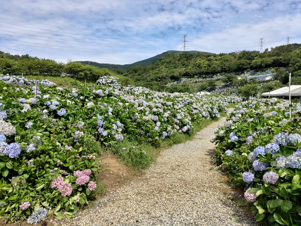 P_20220613_092738.jpg P_20220613_092738.jpg