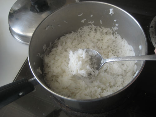 cook-rice3.jpg