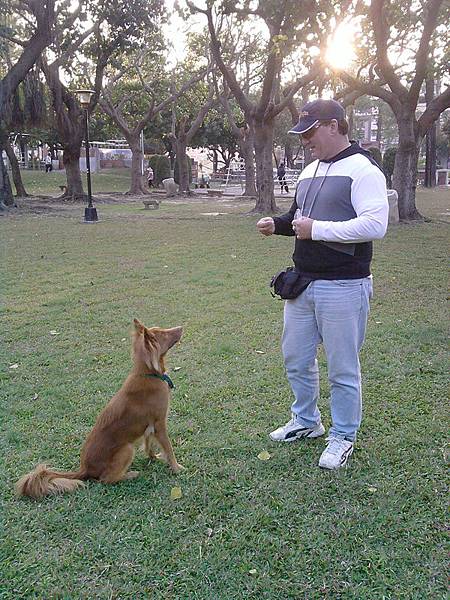 furball in park.jpg