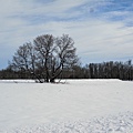 Fish Creek Park冬景