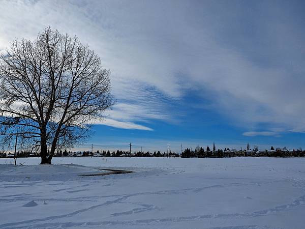 Chinook雪怒可焚風呼呼吹