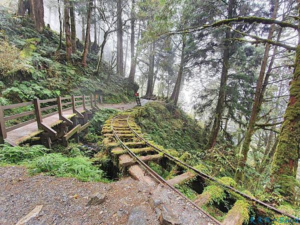 宜蘭太平山景點一日遊 森林蹦蹦車 鳩之澤溫泉 見晴懷古步道 翠峰湖 看見山層中最美雲海 滿分的旅遊札記