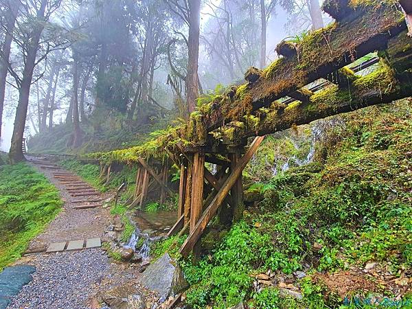 ,宜蘭,太平山,見晴古道,鳩之澤溫泉,土場,太平山莊,翠峰湖,蹦蹦車,步道,瀑布,雲海,山屋,日出,溪流,森林,濕地,湖泊,