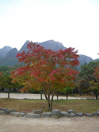 DSCN3526.JPG DSCN3526.JPG