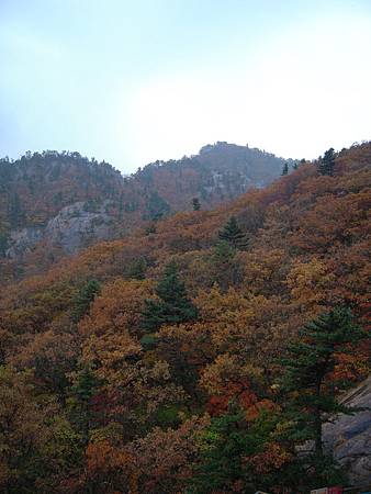 DSCN3545.JPG DSCN3545.JPG