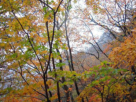 DSCN3556.JPG DSCN3556.JPG