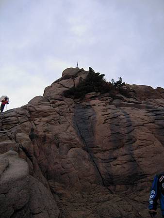 DSCN3569.JPG DSCN3569.JPG