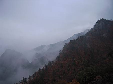 DSCN3584.JPG DSCN3584.JPG