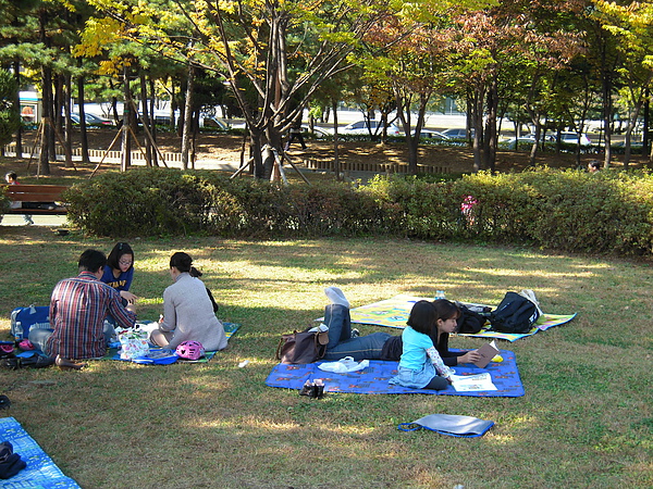 DSCN0985.JPG DSCN0985.JPG