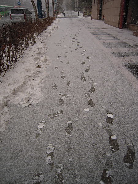 DSCN2031.JPG DSCN2031.JPG