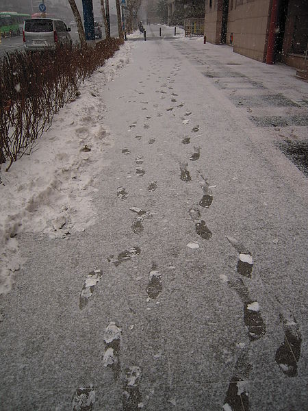 DSCN2031.JPG DSCN2031.JPG