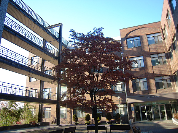 DSCN1727.JPG DSCN1727.JPG