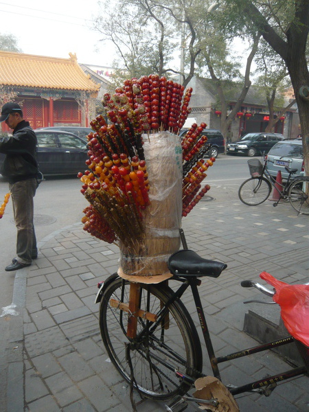P1020050.JPG P1020050.JPG
