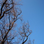 梨大的天空 梨大的天空