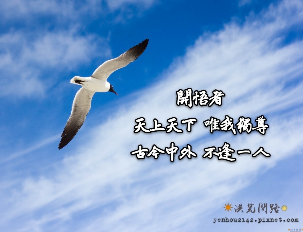 ????2_mh1610443794933.jpg2387824417785197415