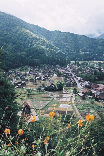 白川鄉 合掌村