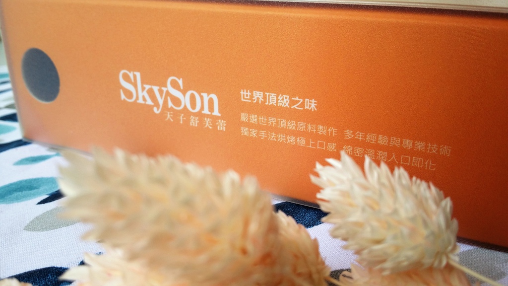 SKYSON (6).jpg