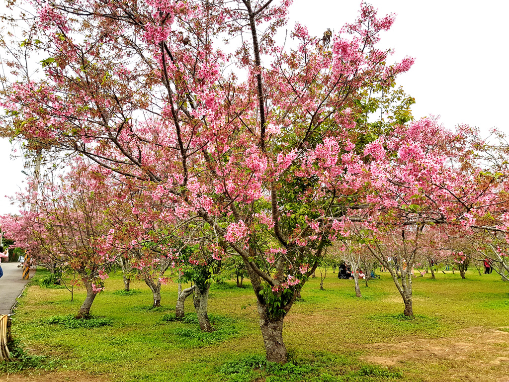 月湖莊園 (3).jpg