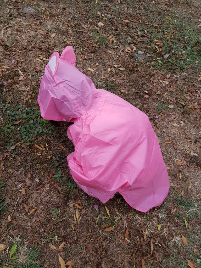 台灣雨之情動動斗篷童雨衣 (22).jpg