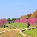 中科崴立櫻花公園 (8).jpg