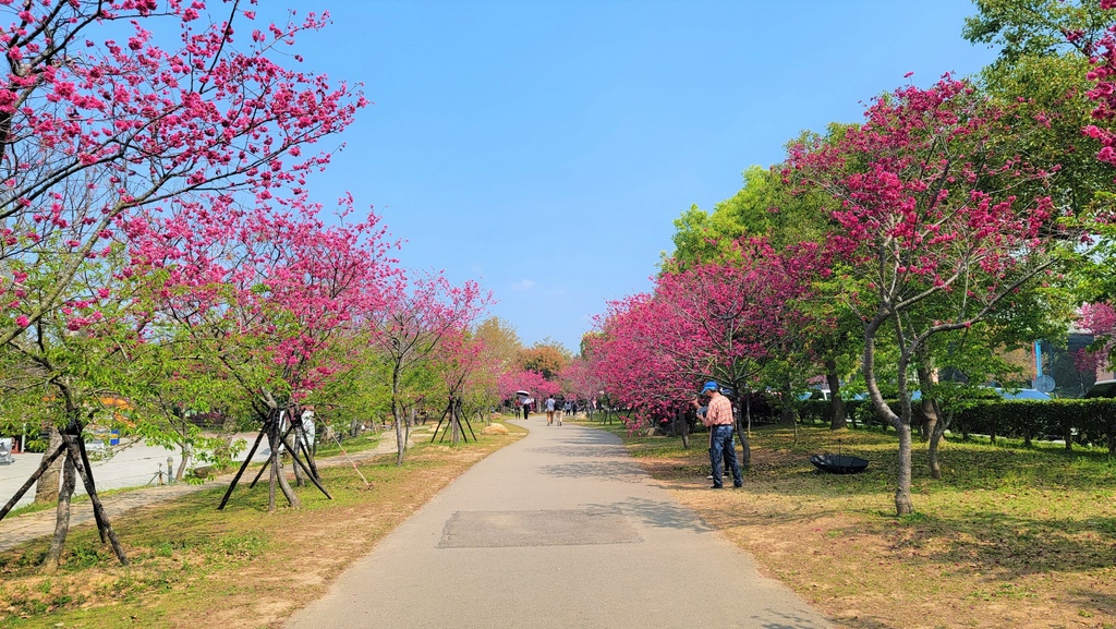 中科崴立櫻花公園 (4).jpg