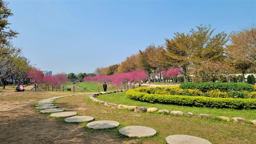 中科崴立櫻花公園 (5).jpg