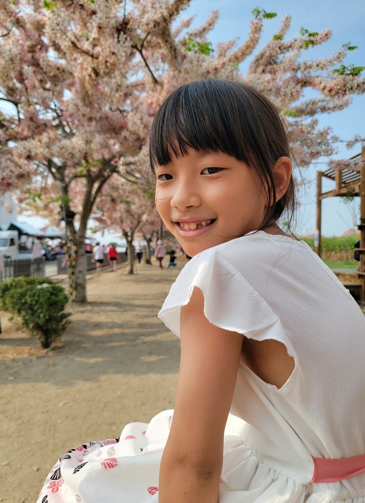 金砂里花旗木步道 (11).jpg