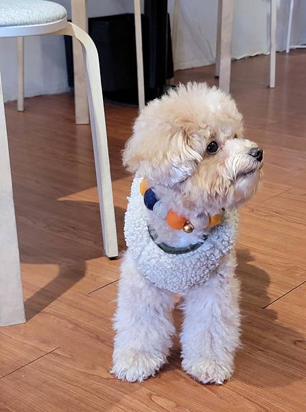 兜特歐宜 (12).jpg