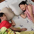 蛋白枕 (12).jpg