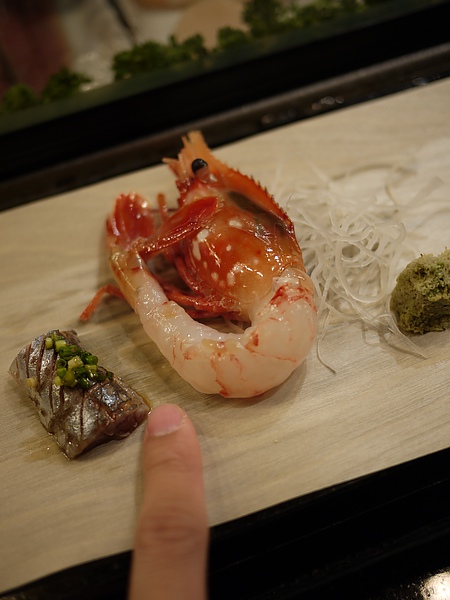 北海道牡丹蝦（特大）