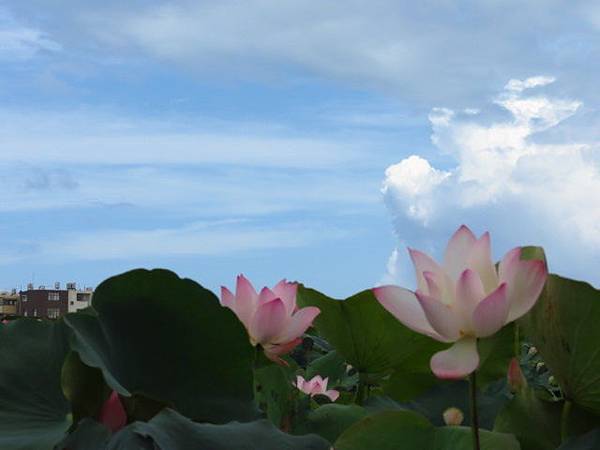 IMG_0046 IMG_0046