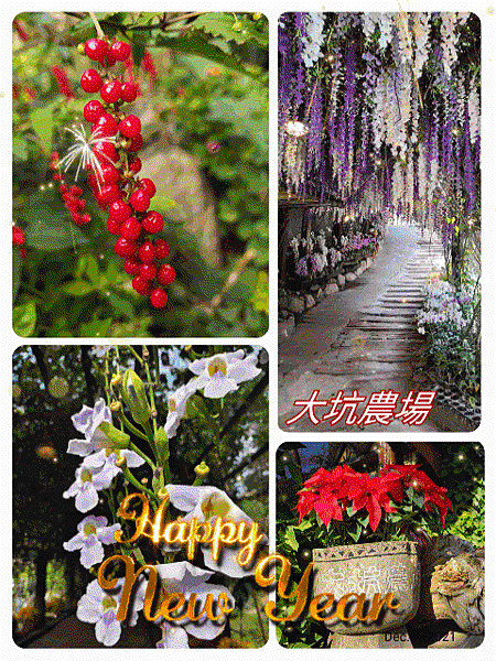 2021-12-31-08-22-23-550.gif 2021-12-31-08-22-23-550.gif