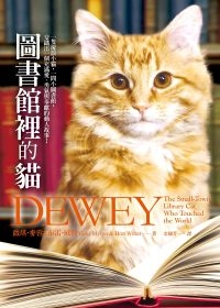 圖書館裡的貓.jpg 圖書館裡的貓.jpg