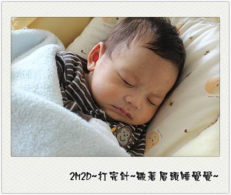 2M2D-1 2M2D-1