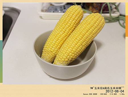 玉米尼-1 玉米尼-1