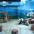 zoo 009.jpg