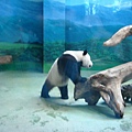 zoo 013.jpg