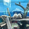 zoo 016.jpg