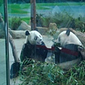 zoo 070.jpg