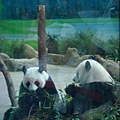 zoo 075.jpg