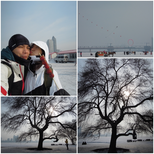 Harbin8 Harbin8