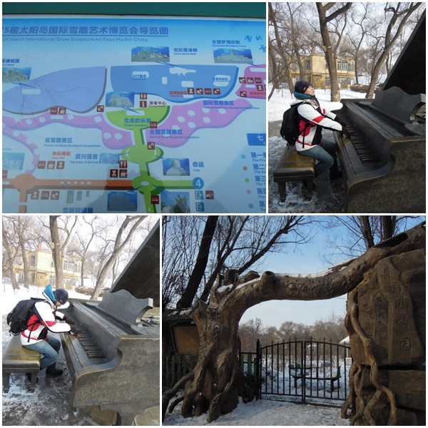 Harbin9 Harbin9