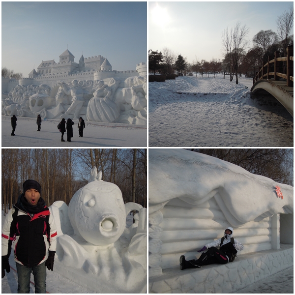 Harbin15 Harbin15